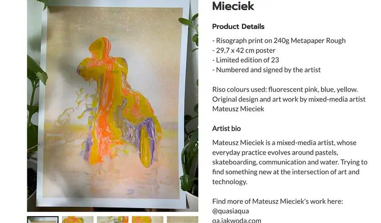 a picture of a print on a webshop