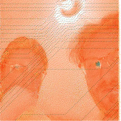 test of mono color risoprint with strong dithering